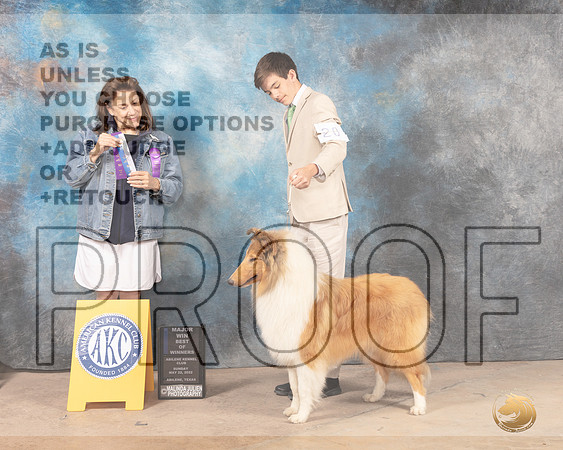 Collie Rough #20 Sun BOWM Judge Joan Liebes-MMJ_4904-Abilene2022-HR3