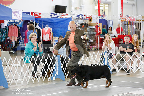 _HR_4196-DallasJul2014-HR3