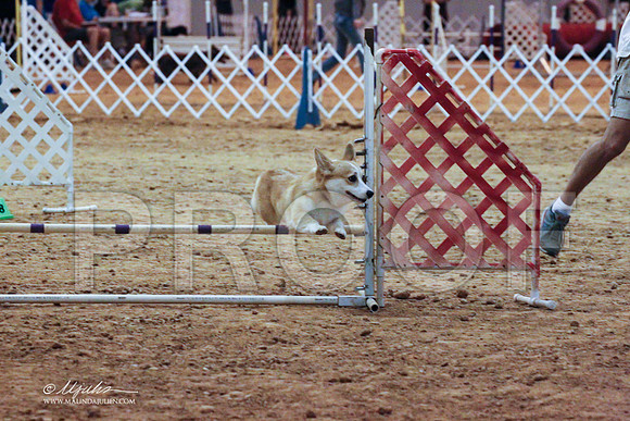 CorgPW-7878 PROOF