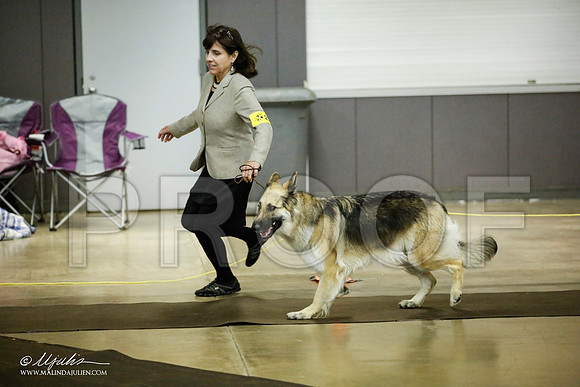 _JJ_7023-BeltonJan2015IABCA-HR3