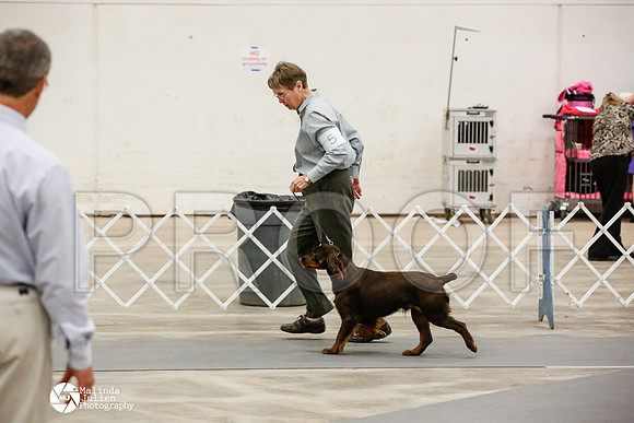 _JN_0775-AblnMay2014-web