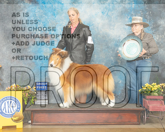 Collie Rough #9 Sun G1 Judge Laurie Telfair-MMJ_1664-NWARK2022-HR3