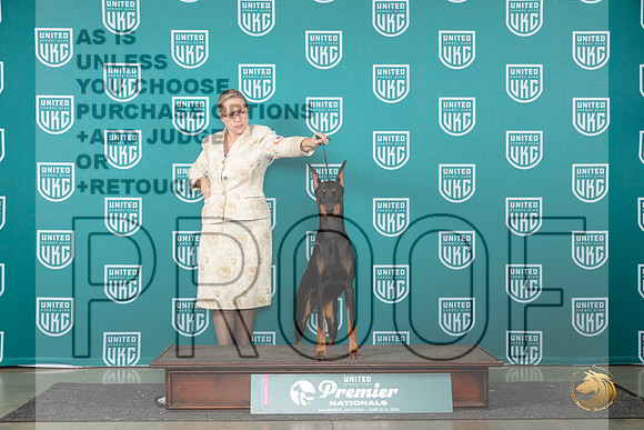 Doberman Pinscher #895 Fri RCH Judge Deb Allen__JP_2133_Premier_2024_HR3