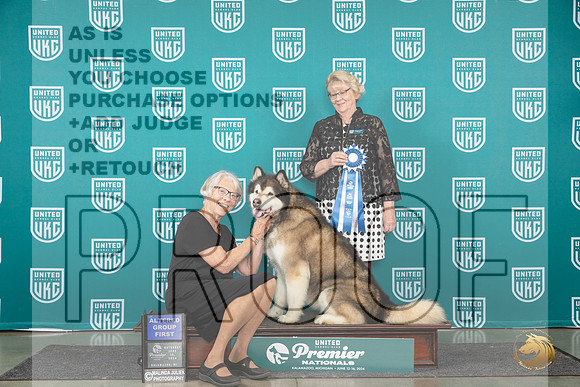 Alaskan Malamute #1301 Sat AG1 Judge Deb Allen__JP_2420_Premier_2024_HR3