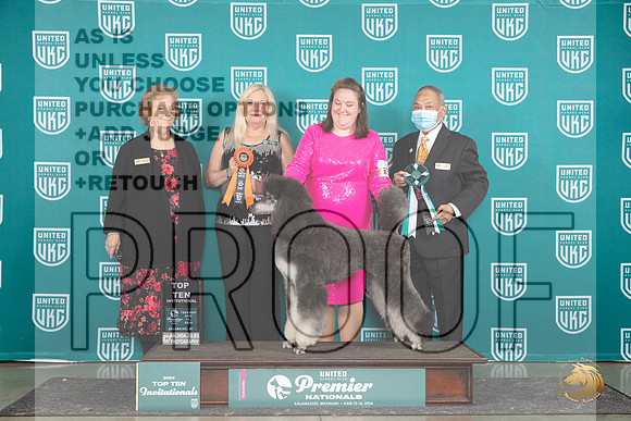 Poodle Std MC #819 Thur T10F__JP_1435_Premier_2024_HR3