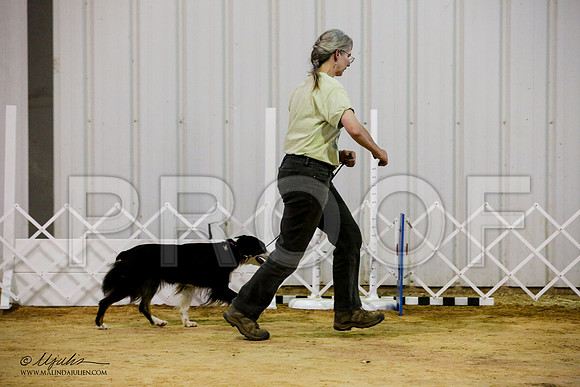 _JJ_0643-ASCACollegeStationNov2014-HR3