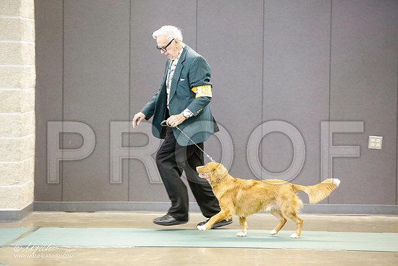 _LH_3101-BeltonJan2015-HR3