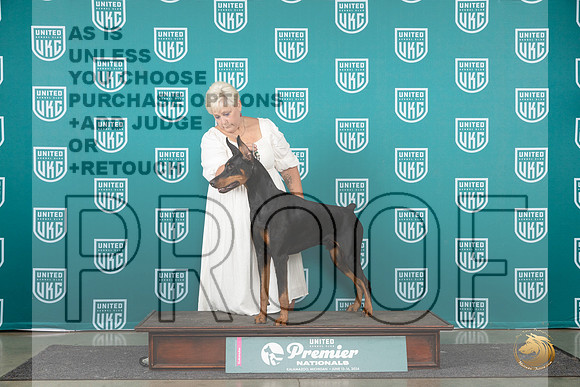 Doberman Pinscher #1263 Sat COC1 Judge Lori Sargent__JP_2115_Premier_2024_HR3