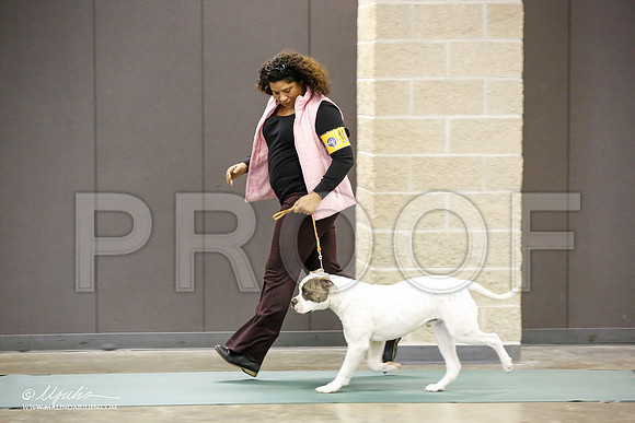 _JN_1520-BeltonJan2015-HR3