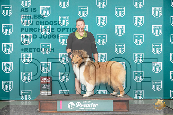 Rough Collie #402 Sun G2 Judge Carianna Glenn__JP_3382_Premier_2024_HR3