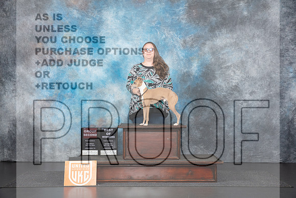Italian Greyhound # Sat G2 BOW Judge Nancy Gallant__JP_1231_UKCLNGVIEWOCT2024_2024_HR3