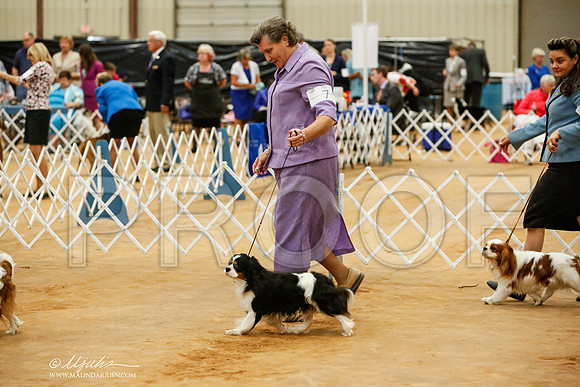 _JJ_6676-TxArJun2014-HR3