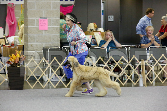 _JJ_1382-AfgBeltonOct2014-HR3