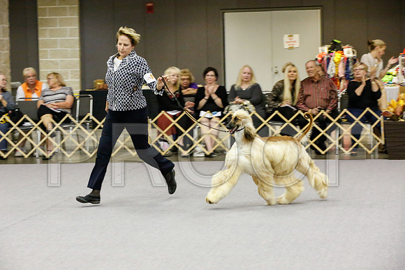 _JJ_0004-AfgBeltonOct2014-HR3