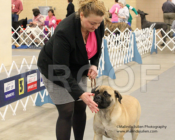 6-9PupSweeps-8753