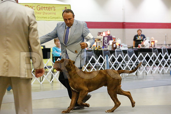 _JJ_1785-AmarilloSept2014-HR3