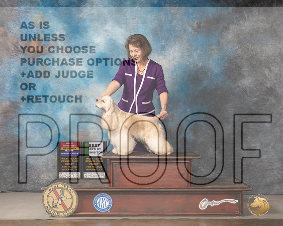 Cocker Spaniel ASCOB #6 Fri BOSWBBBE Judge Judy BrownMMJ_3135_Mdlnd2022_HR3