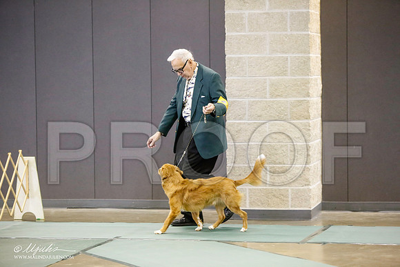 _LH_3089-BeltonJan2015-HR3