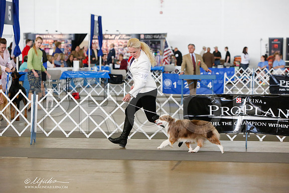 _JJ_7574-DallasJul2014-HR3