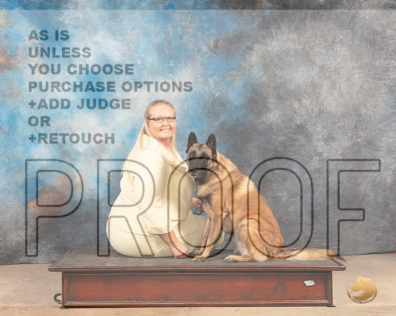Belgian Malinois Custom-MMJ_3076-Addison2022-HR3