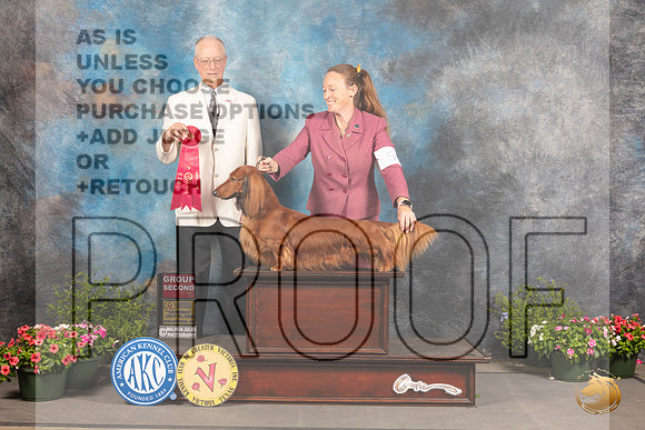 Dachshund Longhaired #5 Sat G2 Judge Allen Odom_MJ_0599_SA_2022_HR3