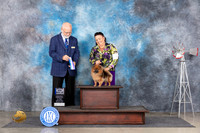 Pomeranian #18 Sat BOWM Judge Gary Andersen