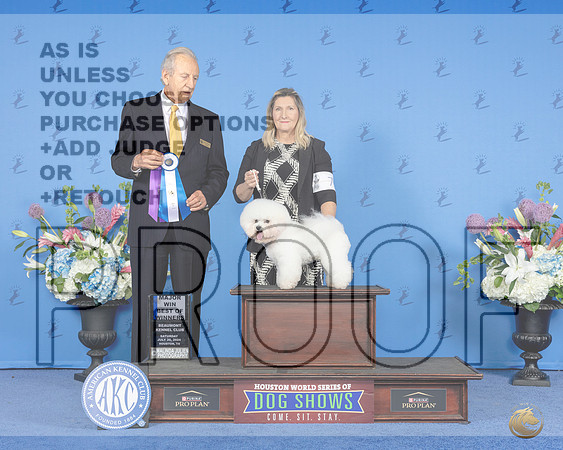 Bichon Frise #7 SAT BOW M Judge James Moses__JP_0009e_Houston_2024-HR3.jpg