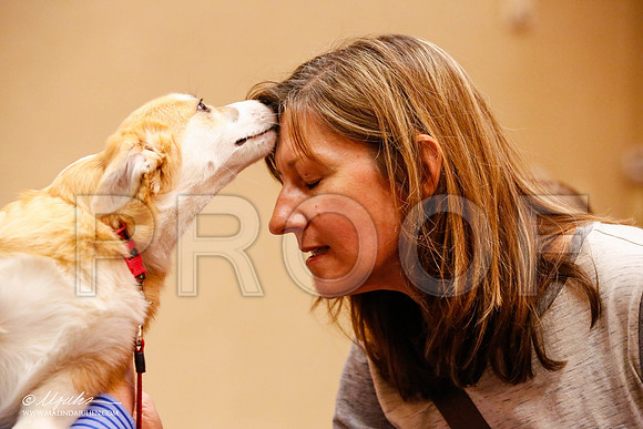 _JJ_9225-HstnCorgiFeb2015-HR3