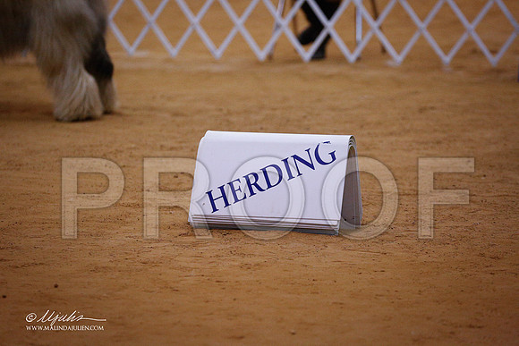 HerdGrp-1777-GRJan14-HR