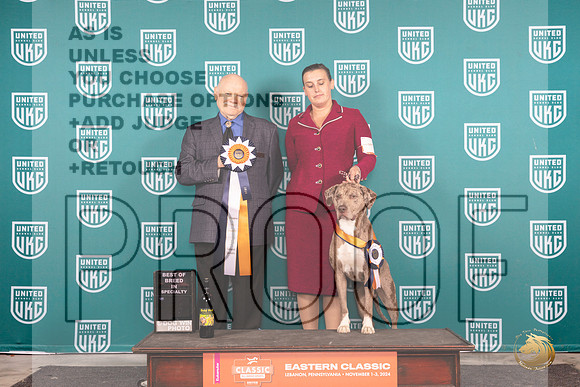 LCLD #201 Sat BISS Judge Larry Hansen__JP_2233_UKCEastern_2024_HR3