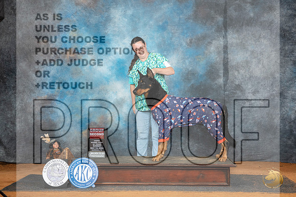 Beauceron #5 Fri G2 Judge Denise Dean__JP_8639_MARSHALL_2024_HR3