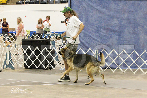 GSD-6250LR