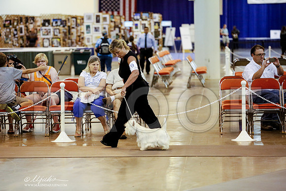_JJ_8053-DalJul2014-HR3