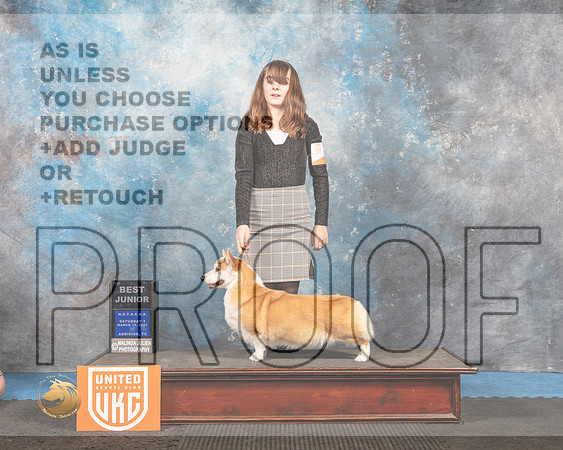 Pembroke Welsh Corgi #209 Sat1 BestJr Judge Pam Moore_MMJ_6232_Addison2022_HR3