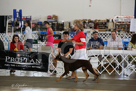 _JJ_1588-DallasJul2014-HR3