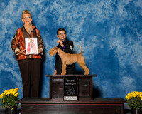 Lakeland Terrier #J402 Sat RBJ Towell Fenric Mark Brandsema Annessa Towell Judge Mr Joanne M Buehler