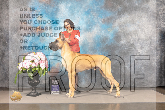 Great Dane #5 THUR G3 Judge Karen McFarlane_MJ_8238_Houston_2022_HR3