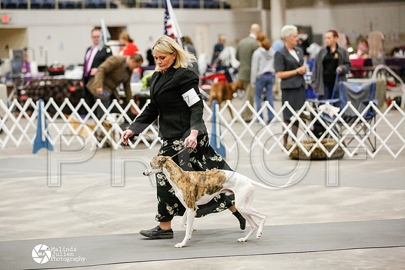_RH_1865-AblnMay2014-web