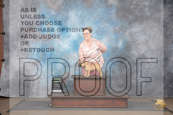 French Bulldog #451 Sat BOB G3 Judge Matthew Proctor__JP_2746_LongviewTX_2024_HR3