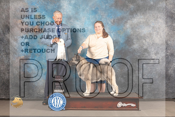 Norwegian Elkhound #7 WED OH G4 Judge Richard Nance_MJ_2774_Houston_2022_HR3