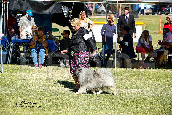 _JN_1440-AlamogordoOct2014-HR3