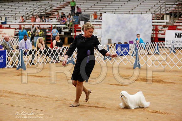 _RH_7727-TxArJun2014-HR3