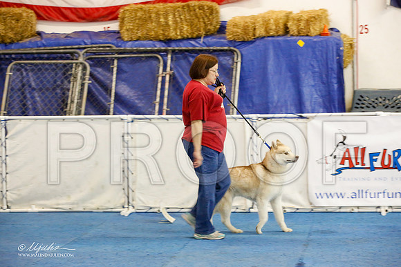 _M3_7640-AddisonHuskyMar2015-HR3