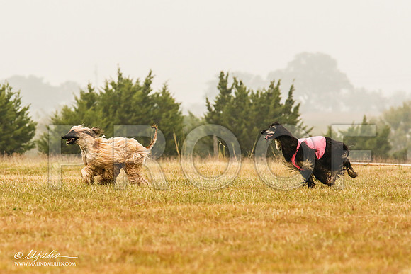 _MJ_3243-AfgBeltonOct2014-HR3