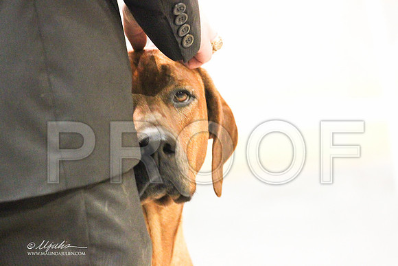 Ridgeback-9202LR