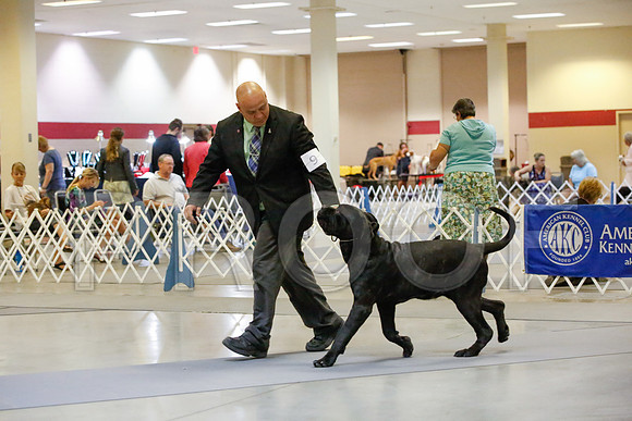 _JJ_1770-AmarilloSept2014-HR3