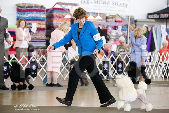 _JJ_5216-DallasJul2014-HR3