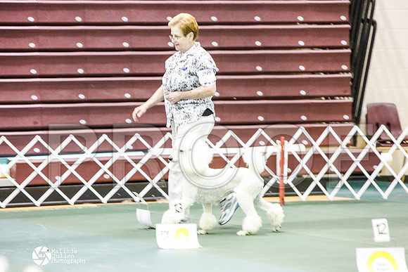_JJ_3212-BsrCtyJun2014-HR3
