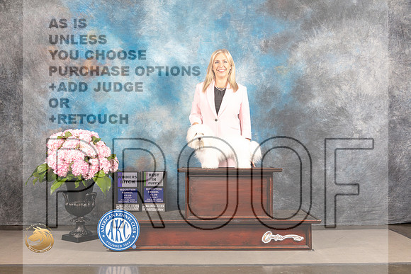 Coton de Tulear #10 FRI WB BP Judge Jeffery Bazell_MJ_4979_Houston_2022_HR3