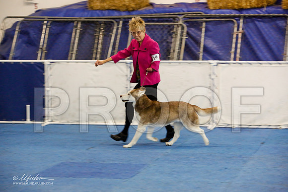 _M3_9107-AddisonHuskyMar2015-HR3